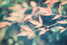 利物浦反超淘汰对手，晋级四强