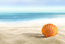 德国劲旅全力冲击胜利