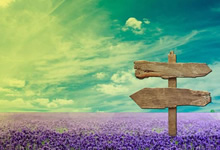 意大利队横扫保加利亚，晋级欧预赛八强