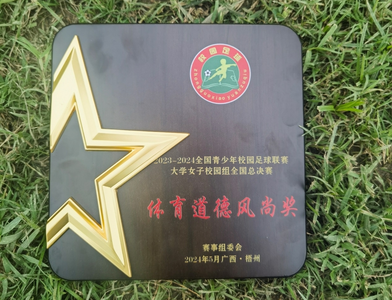 青海队取胜，成功晋级赛事下轮的简单介绍